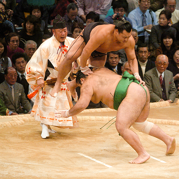 sumo05.png